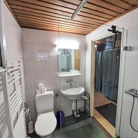 Crap Grisch By Interhome Ruschein