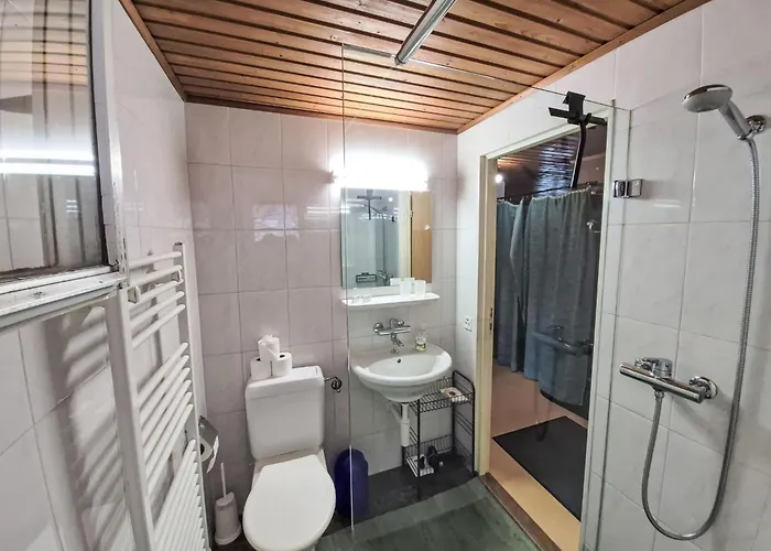 Crap Grisch By Interhome Ruschein